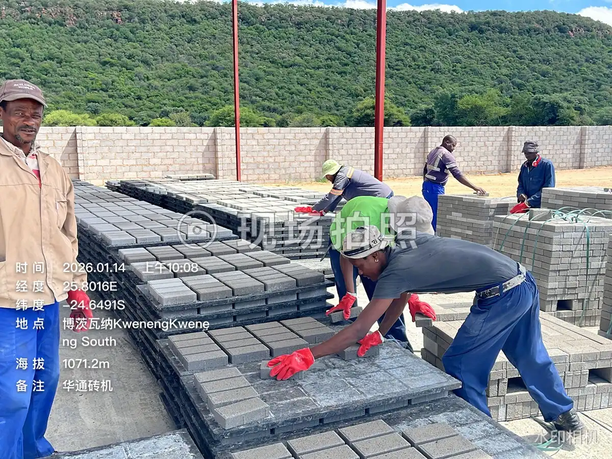 Cas d'exportation de la machine de fabrication de briques entièrement automatique Huatong QT5-15 vers le Botswana